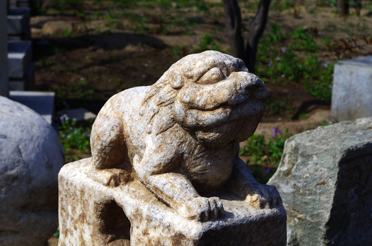 北京榆樹(shù)莊公園