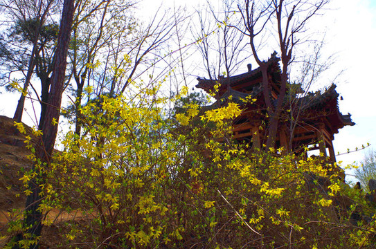 北京榆樹(shù)莊公園