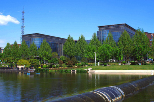 北京房山區(qū)長陽公園郁金香