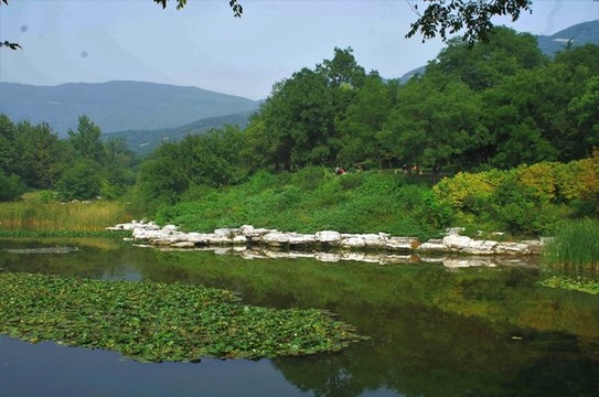 北京植物園