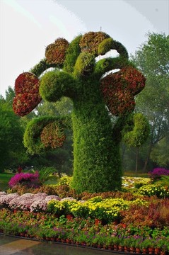 北京植物園