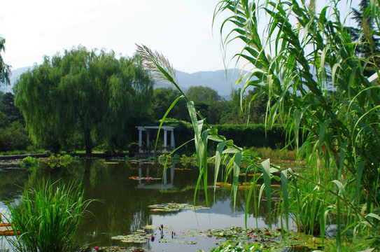 北京植物園南園
