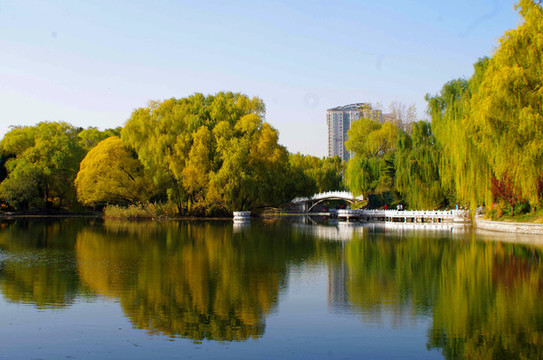 北京紫竹院公園
