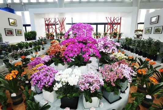 插花藝術(shù)
