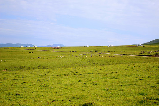 夏季牧場(chǎng)