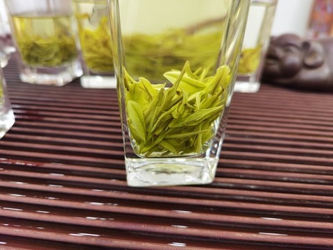 老白茶高清特寫