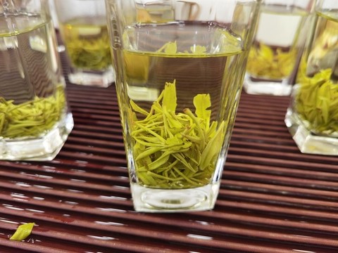 安吉白茶高清特寫大圖