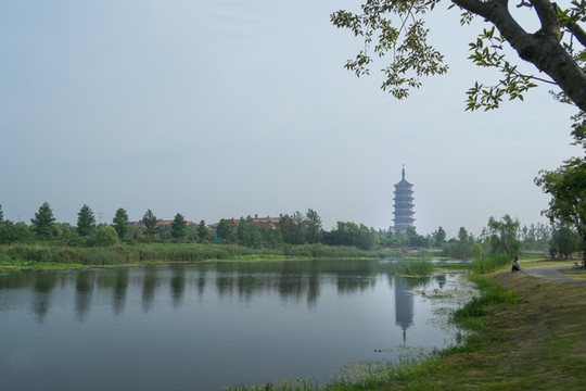 運河生態(tài)景觀