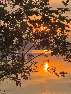 夕陽西下