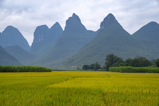 風(fēng)景