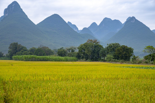 自然風(fēng)光