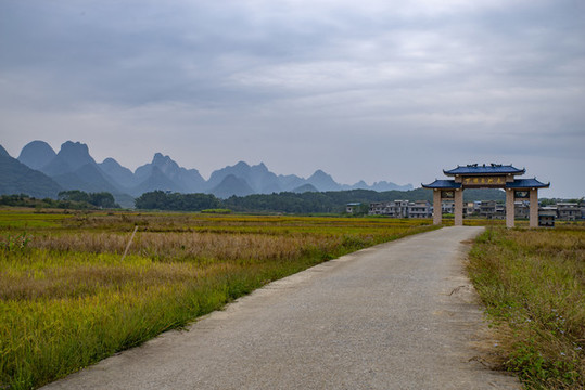 自然風景鄉(xiāng)村田園