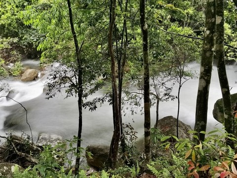 山澗溪流