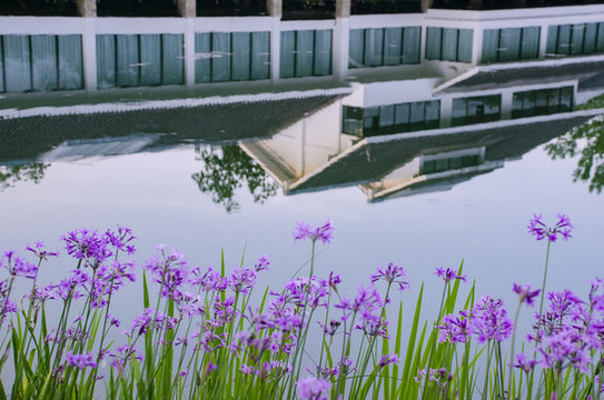 杜甫草堂浣花園林區(qū)建筑水面倒影