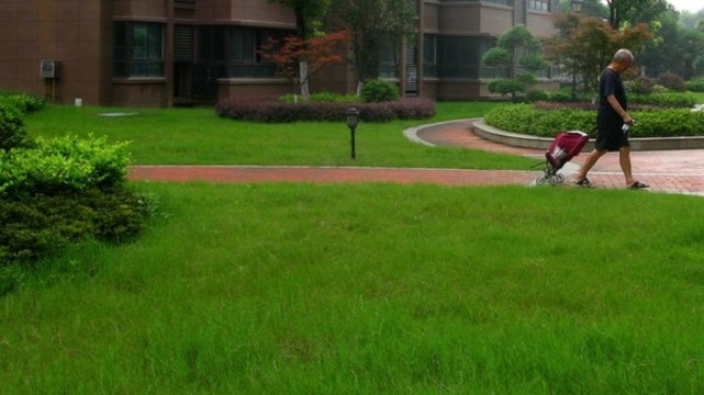 小區(qū)