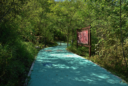 河北省石家莊市平山縣黃金寨景區(qū)