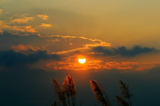 夕陽
