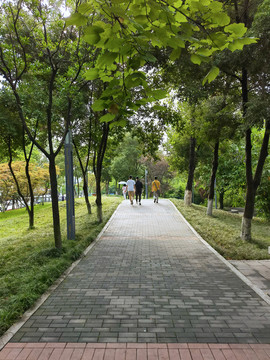 園林小路