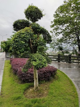 園林