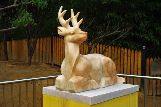 北京朝陽區(qū)白鹿公園