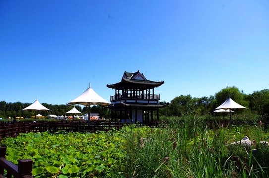 北京順義國際鮮花港