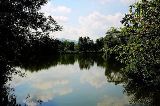 杭州西溪濕地