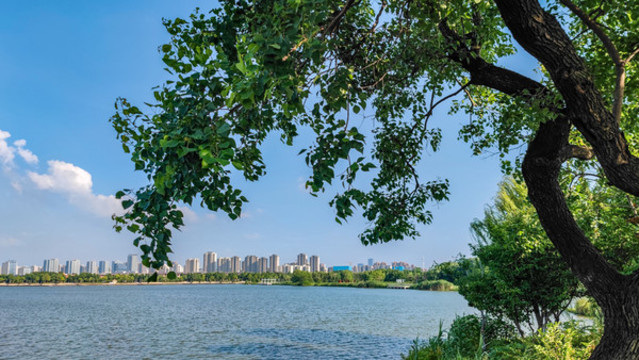 安徽合肥南艷湖風(fēng)景