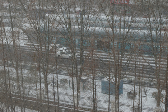 連云港雪中馬路