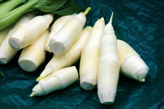 高筍