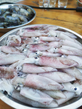 魷魚