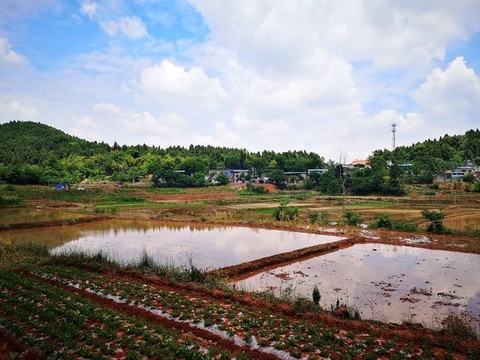 農(nóng)田