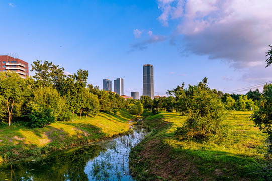 夏季的中國長春北湖國家濕地公園