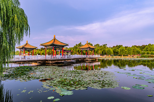 夏季的中國(guó)長(zhǎng)春南湖公園風(fēng)景