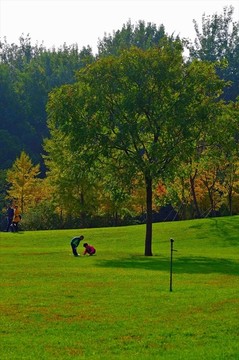 北京市朝陽區(qū)酒仙橋四得公園