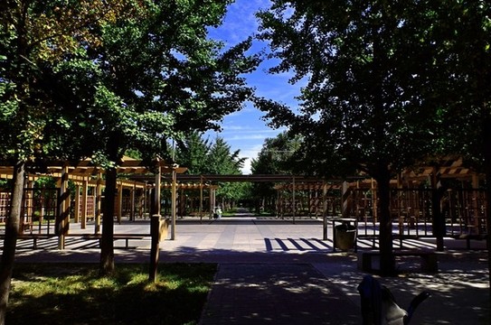 北京天元公園