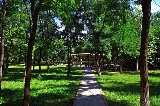 北京天元公園