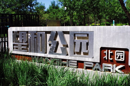北京望和公園北園荷花