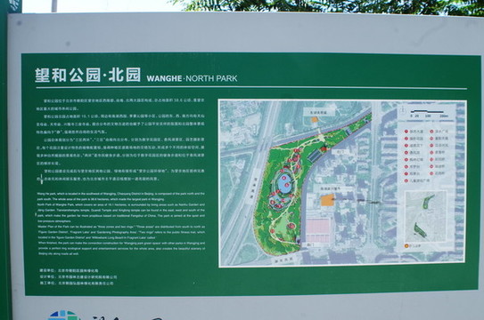 北京望和公園北園荷花