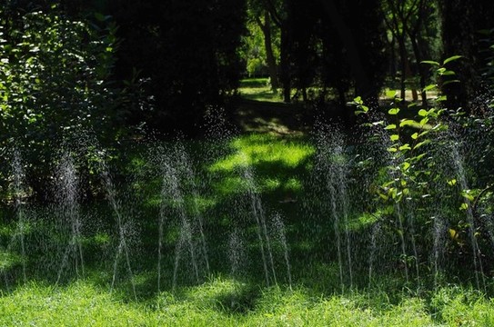 北京小屯公園