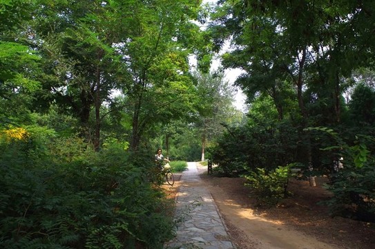北京永定河郊野公園