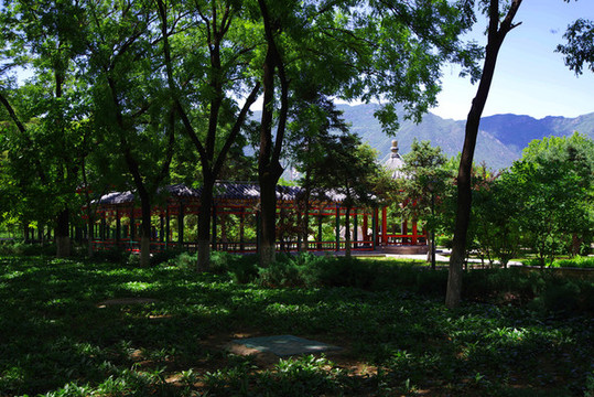 北京燕山石化