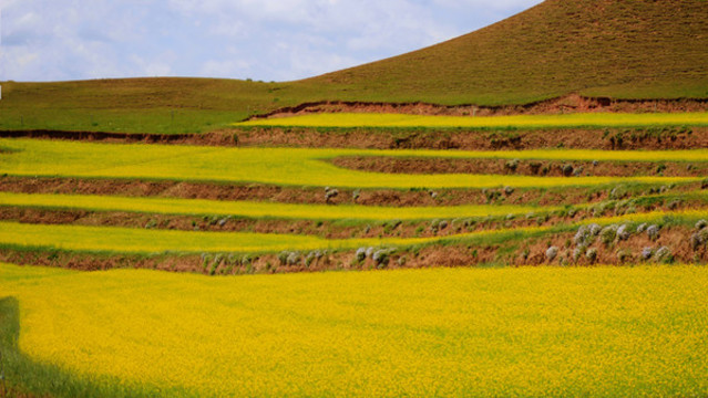 甘南旅游風(fēng)光