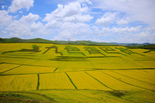 甘南旅游風光