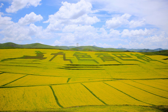 甘南旅游風光