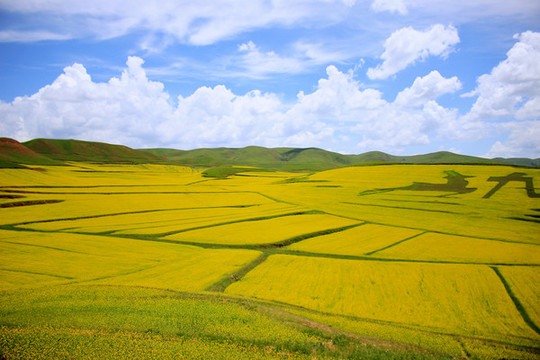 甘南旅游風(fēng)光