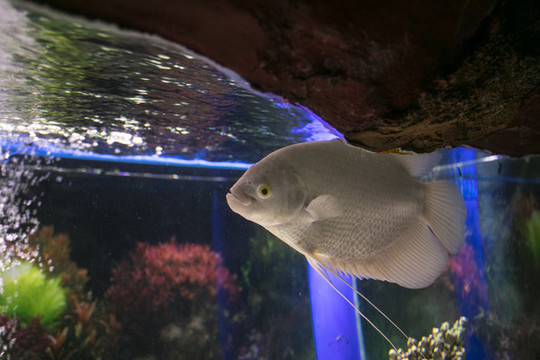 水族館