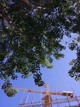 夏日的建筑工地塔吊車(chē)