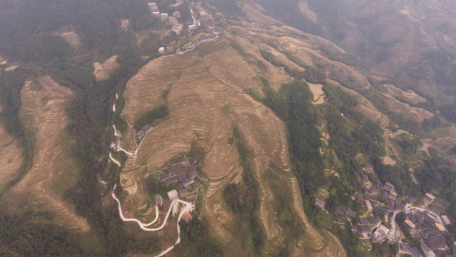 龍脊梯田