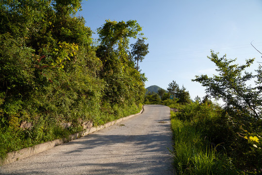 中國西部高山地區(qū)鄉(xiāng)村公路