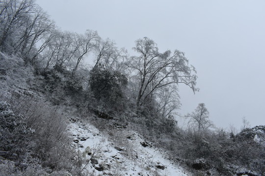 神農(nóng)架